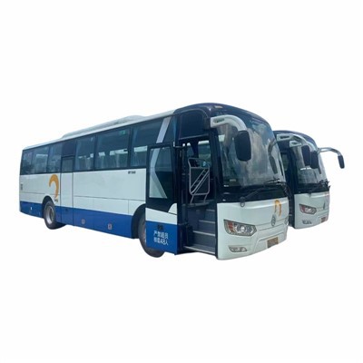 Bas Golden Coach Pelancong 6102